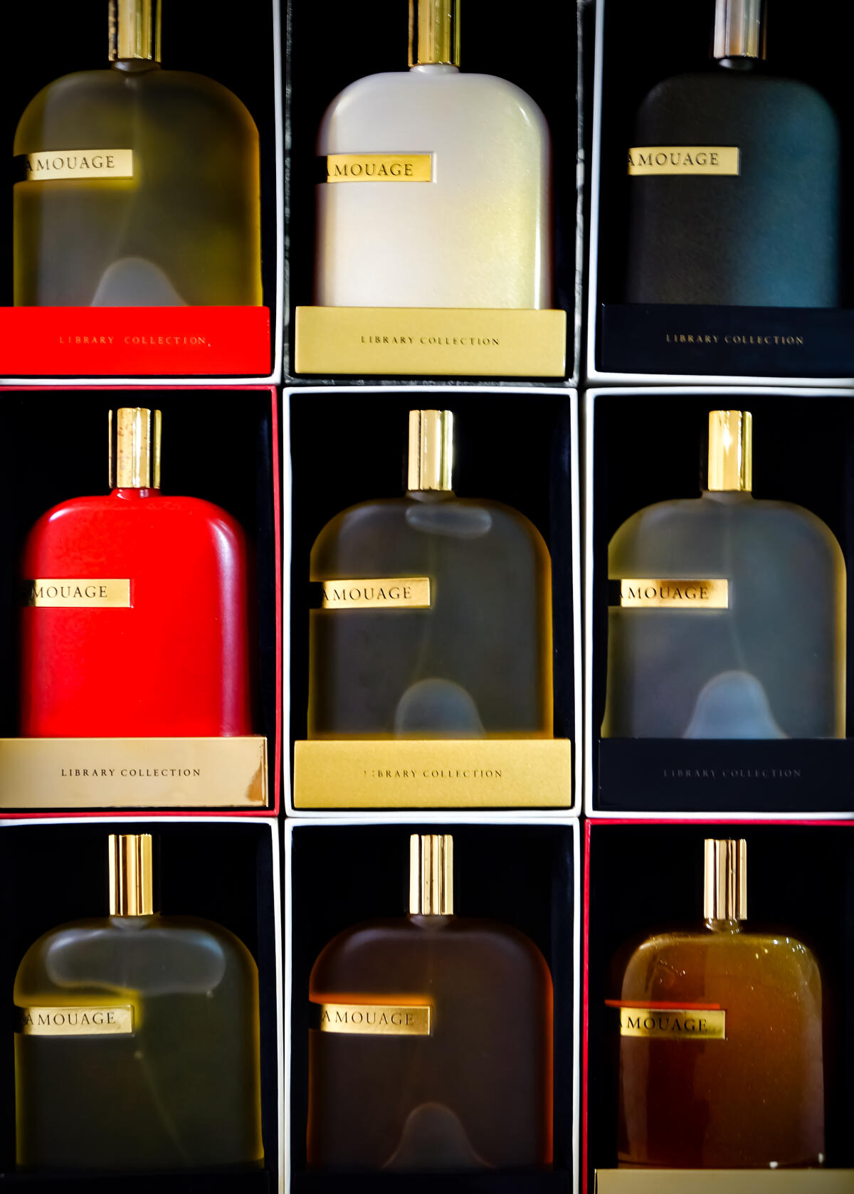 تصویر عطر د لایبرری کالکشن اپوس ۸ آمواژ
