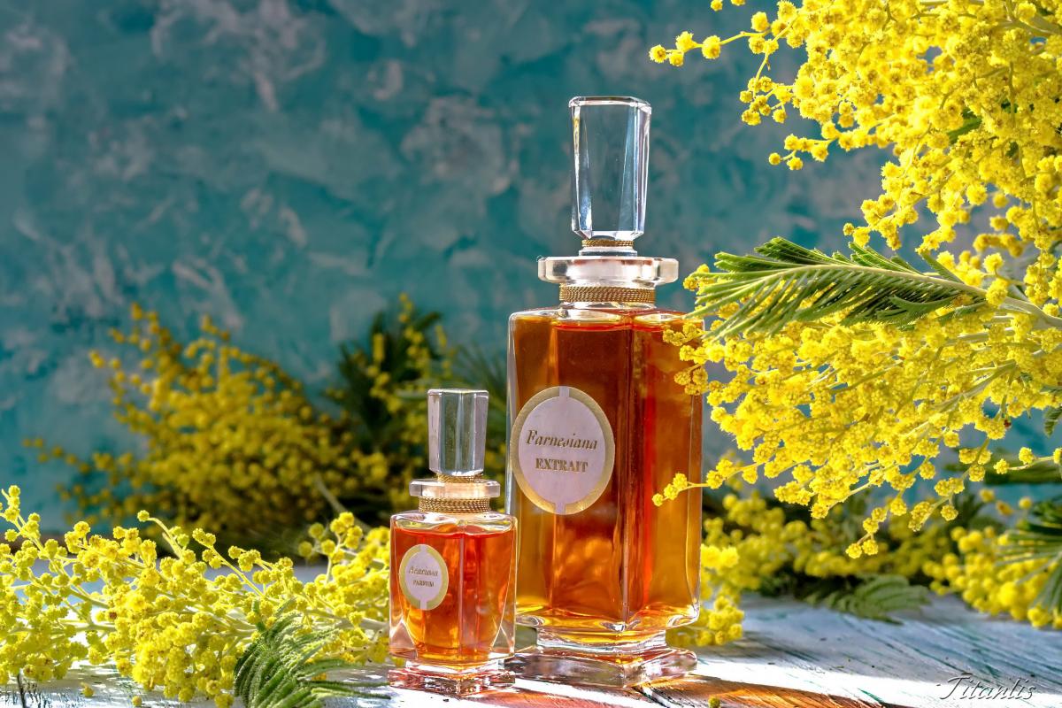تصویر عطر فارنیزیانا کارون
