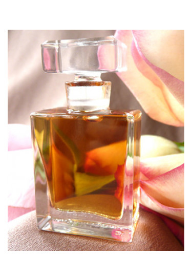 تصویر عطر رُزا راکسَنا ایلومِنیتِد پرفیوم