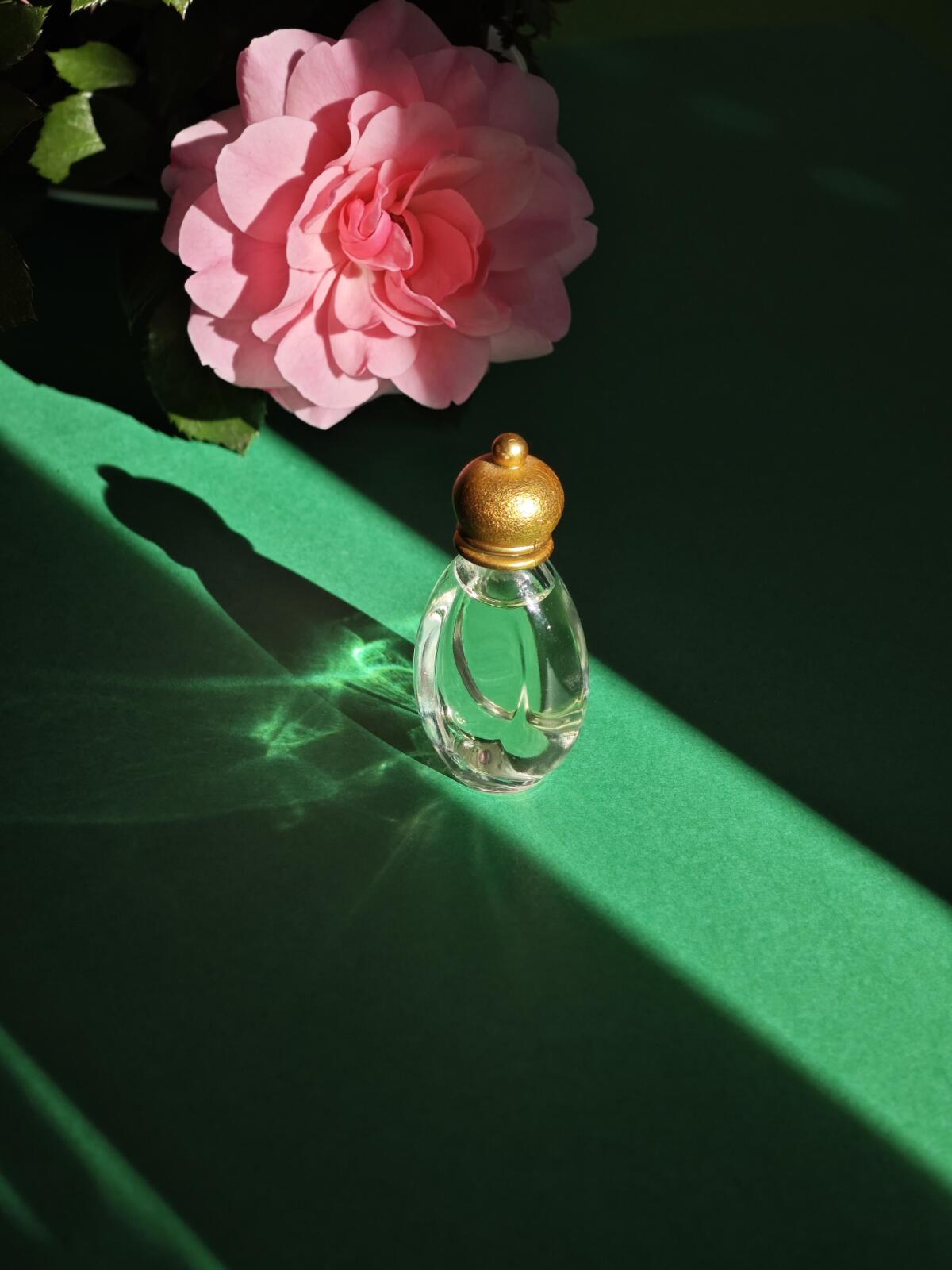 تصویر عطر اُ دو ماهیلا الاینس