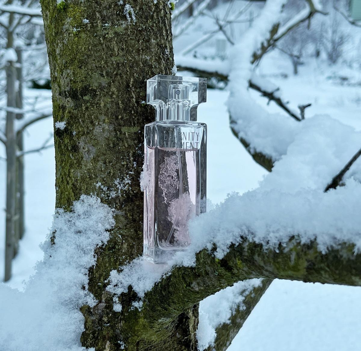 تصویر عطر ایتِرنیتی مومِنت کالوین کلین