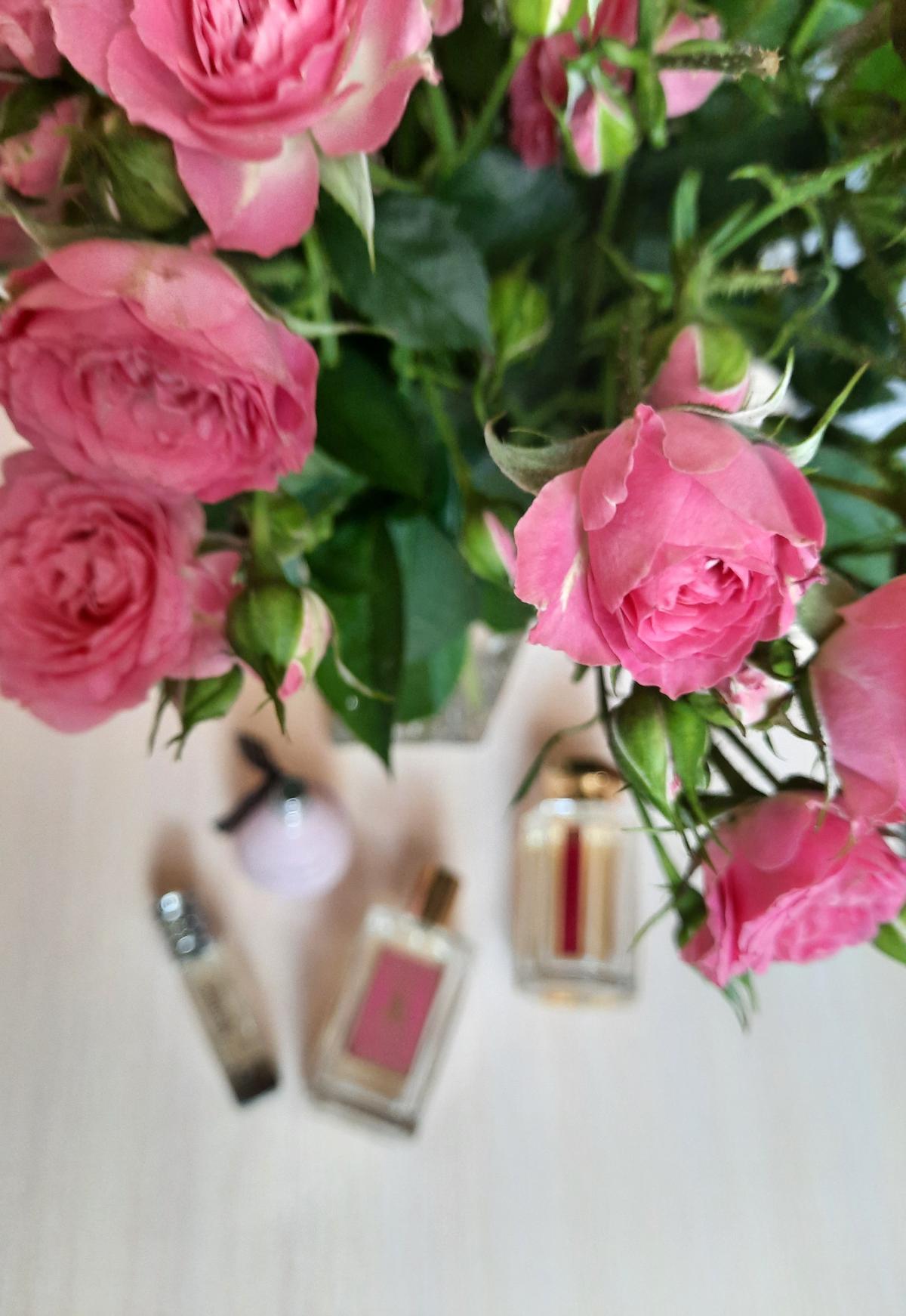 تصویر عطر من رُز اِترو