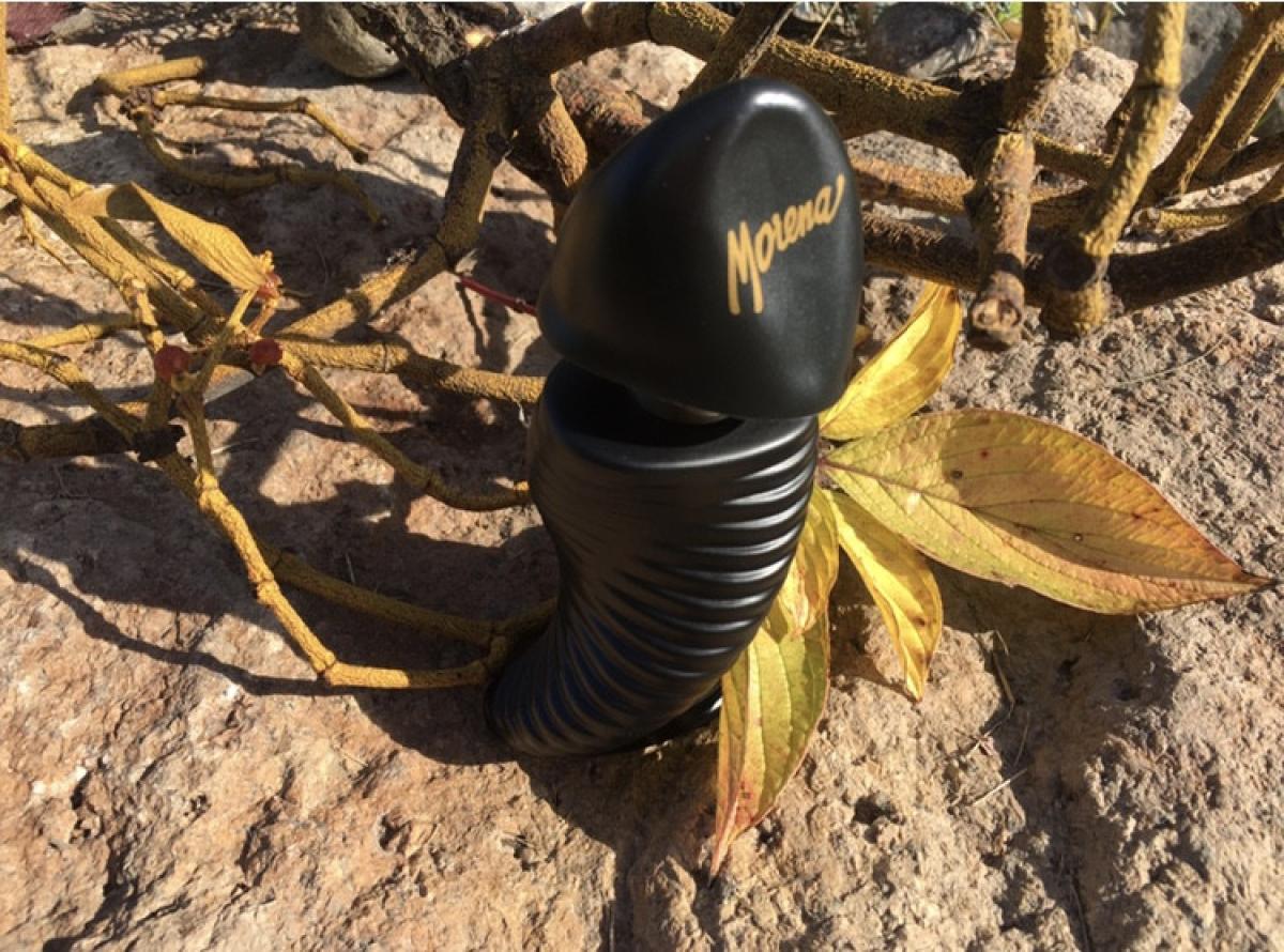 تصویر عطر مورینا نوآر پرفیومز مورنا