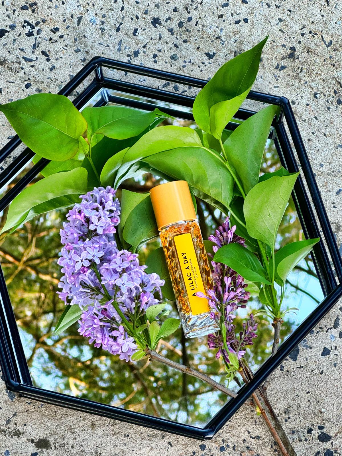 تصویر عطر ا لایلاک ا دی ویلهلم پرفیومری