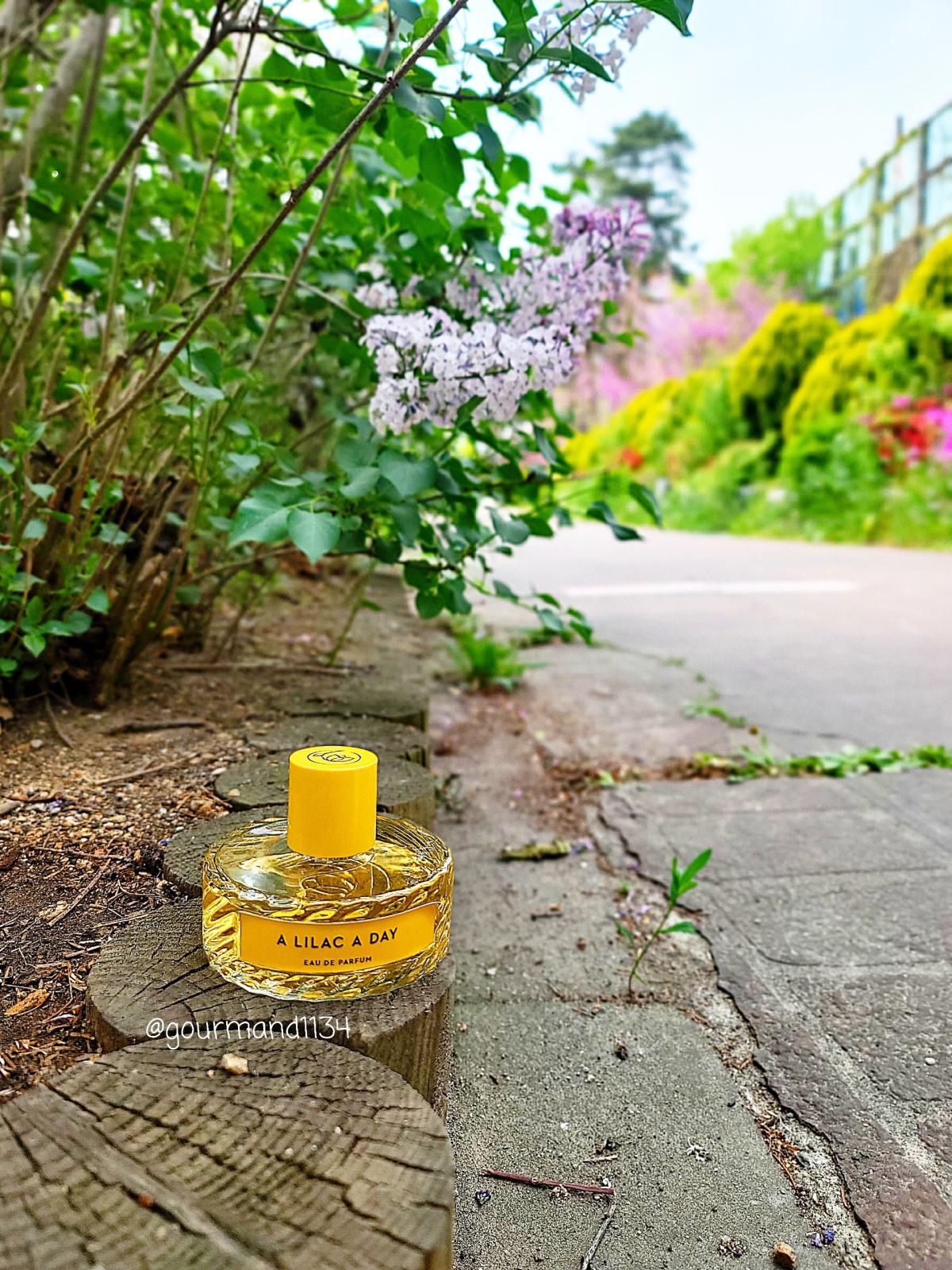 تصویر عطر ا لایلاک ا دی ویلهلم پرفیومری