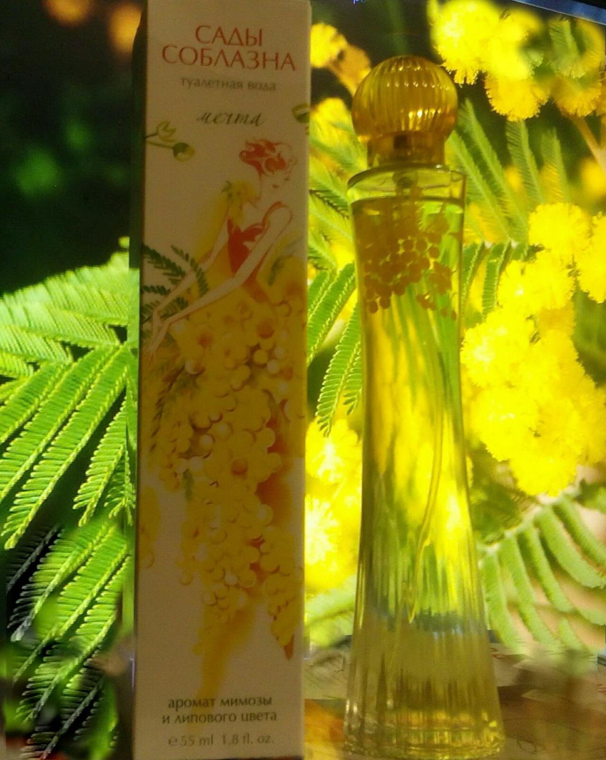 تصویر عطر مِچتا بروکارد