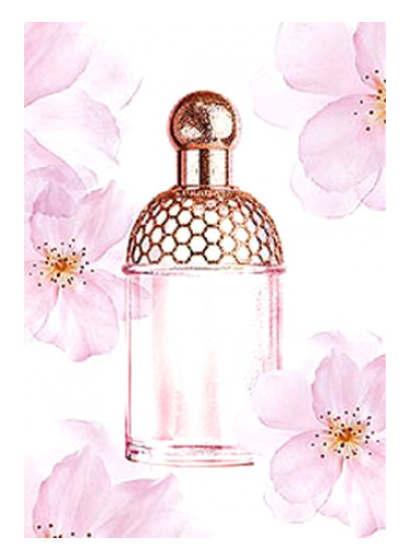 تصویر عطر آکوا الگوریا چری بلوسوم گرلن