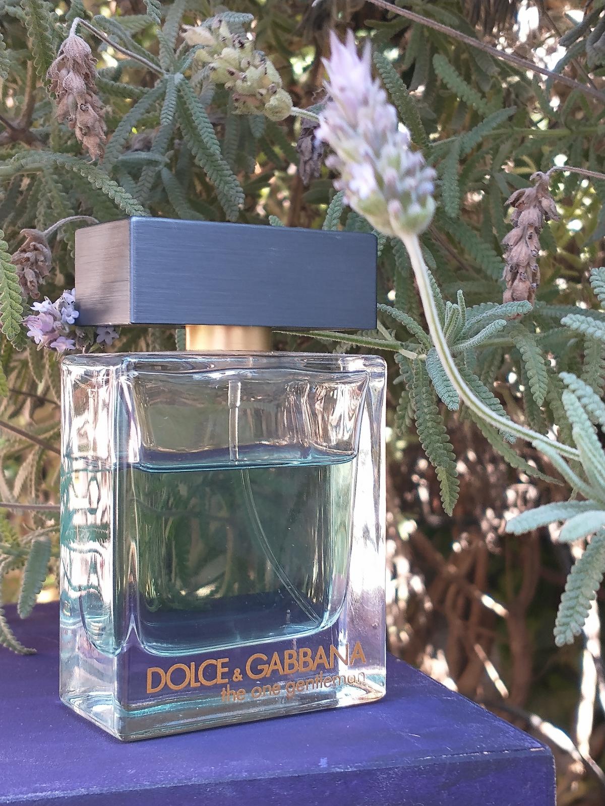 تصویر عطر ذ وان جنتلمن دولچه اند گابانا