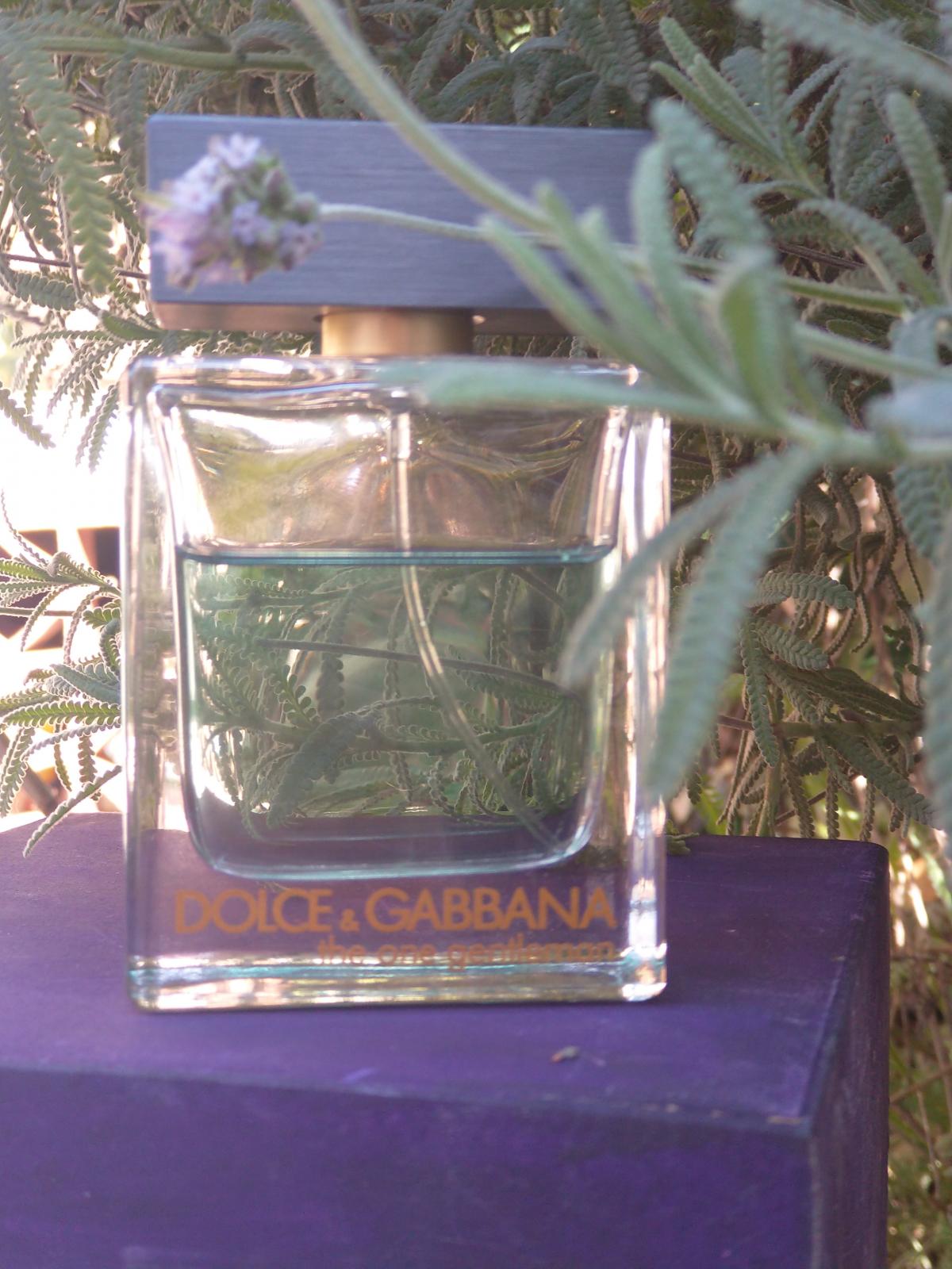 تصویر عطر ذ وان جنتلمن دولچه اند گابانا