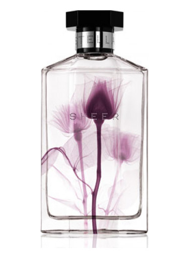 تصویر عطر شیر استلا دو هزار و یازده استلا میک کارتنی