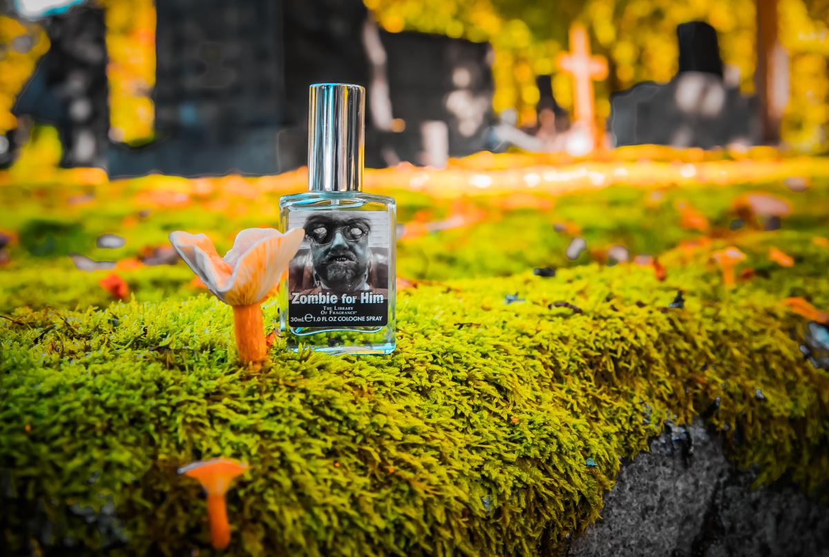 تصویر عطر زامبی فور هیم دیمتر فرگرنس