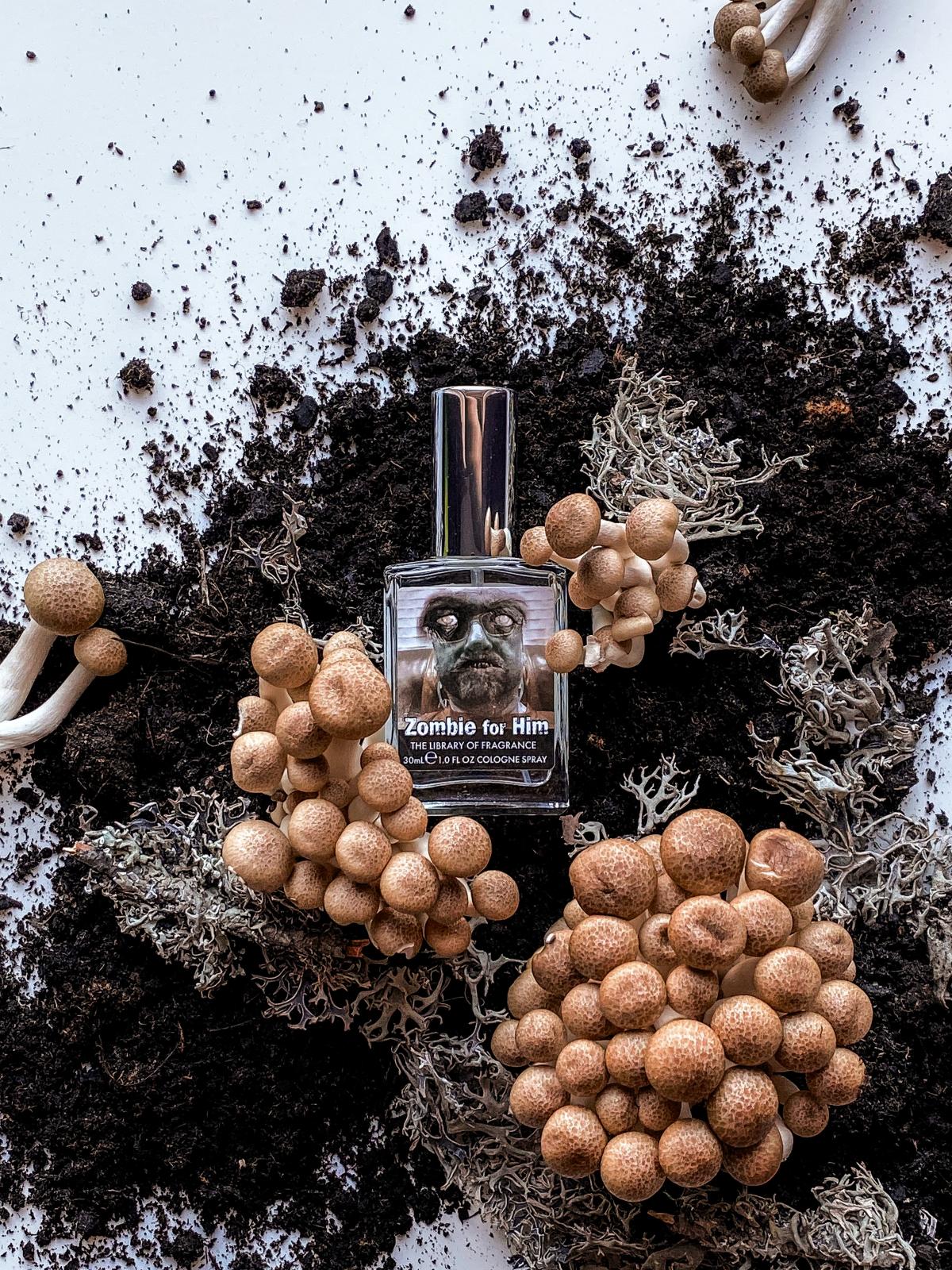 تصویر عطر زامبی فور هیم دیمتر فرگرنس