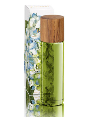 تصویر عطر ایندیگو دی نا دکر