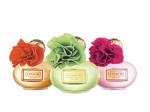 تصویر عطر کُچ پاپی سیتِرین بلاسِم کوچ