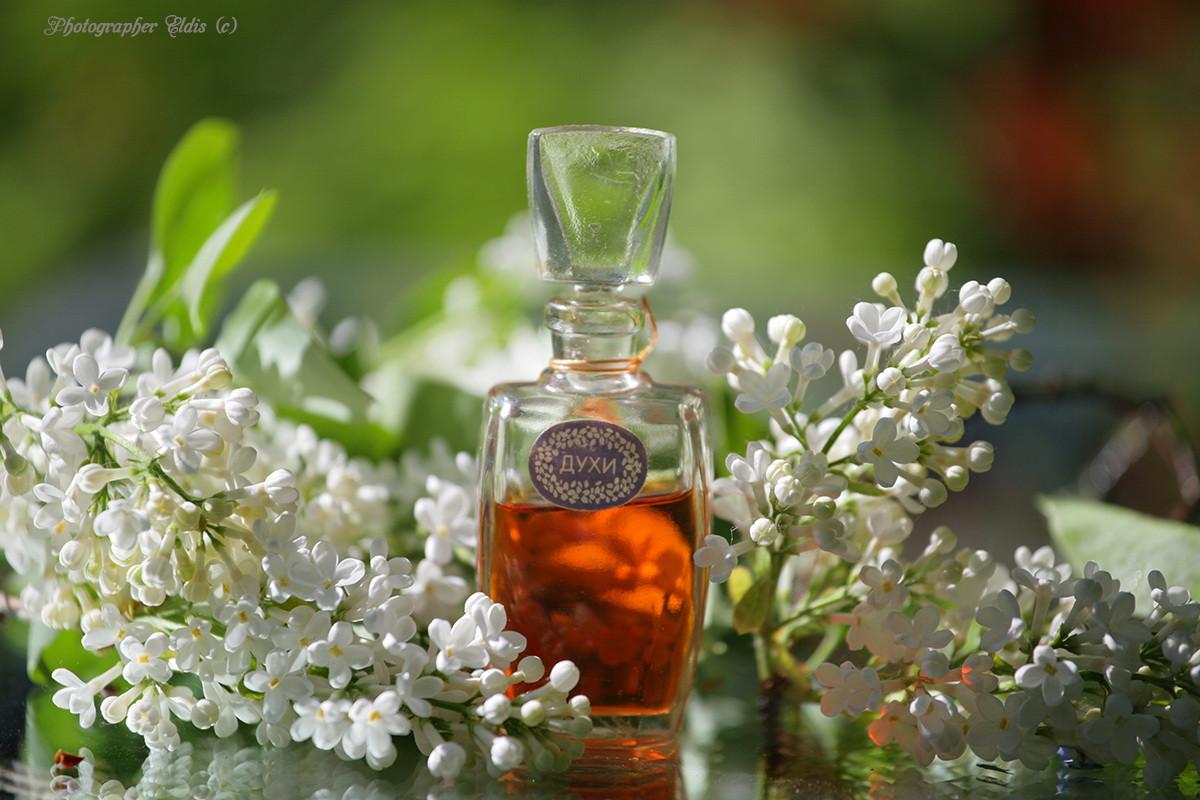 تصویر عطر بیلایا سیرن سورنویه سیانیه