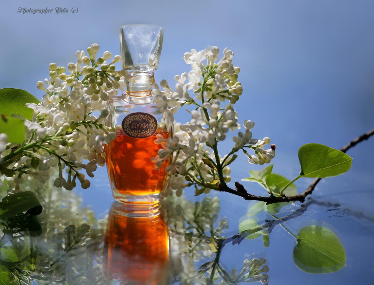 تصویر عطر بیلایا سیرن سورنویه سیانیه