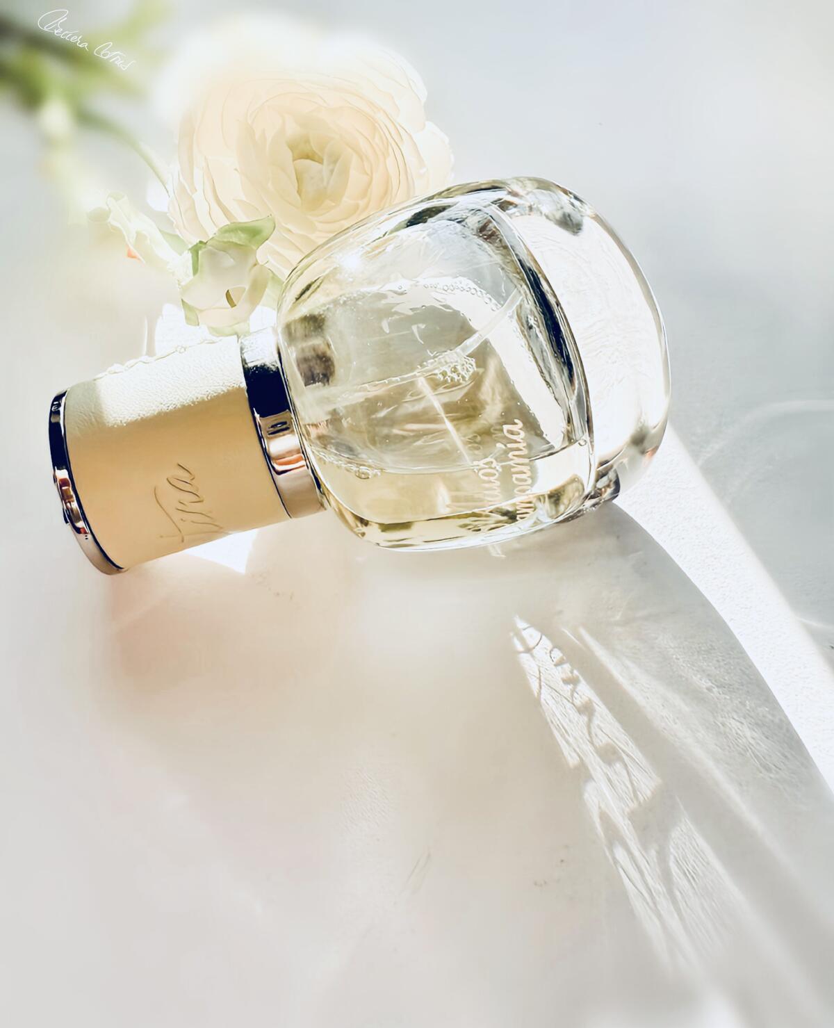 تصویر عطر ادیوس پامپامیا موجر لا مارتینا