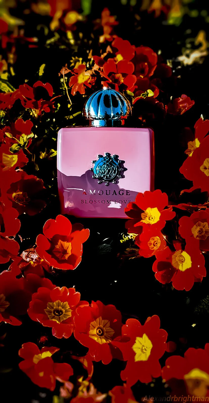 تصویر عطر بلاسام لاو آمواژ