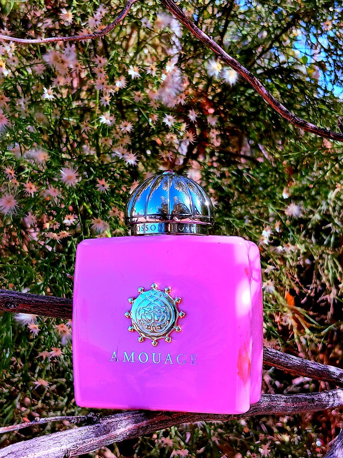 تصویر عطر بلاسام لاو آمواژ