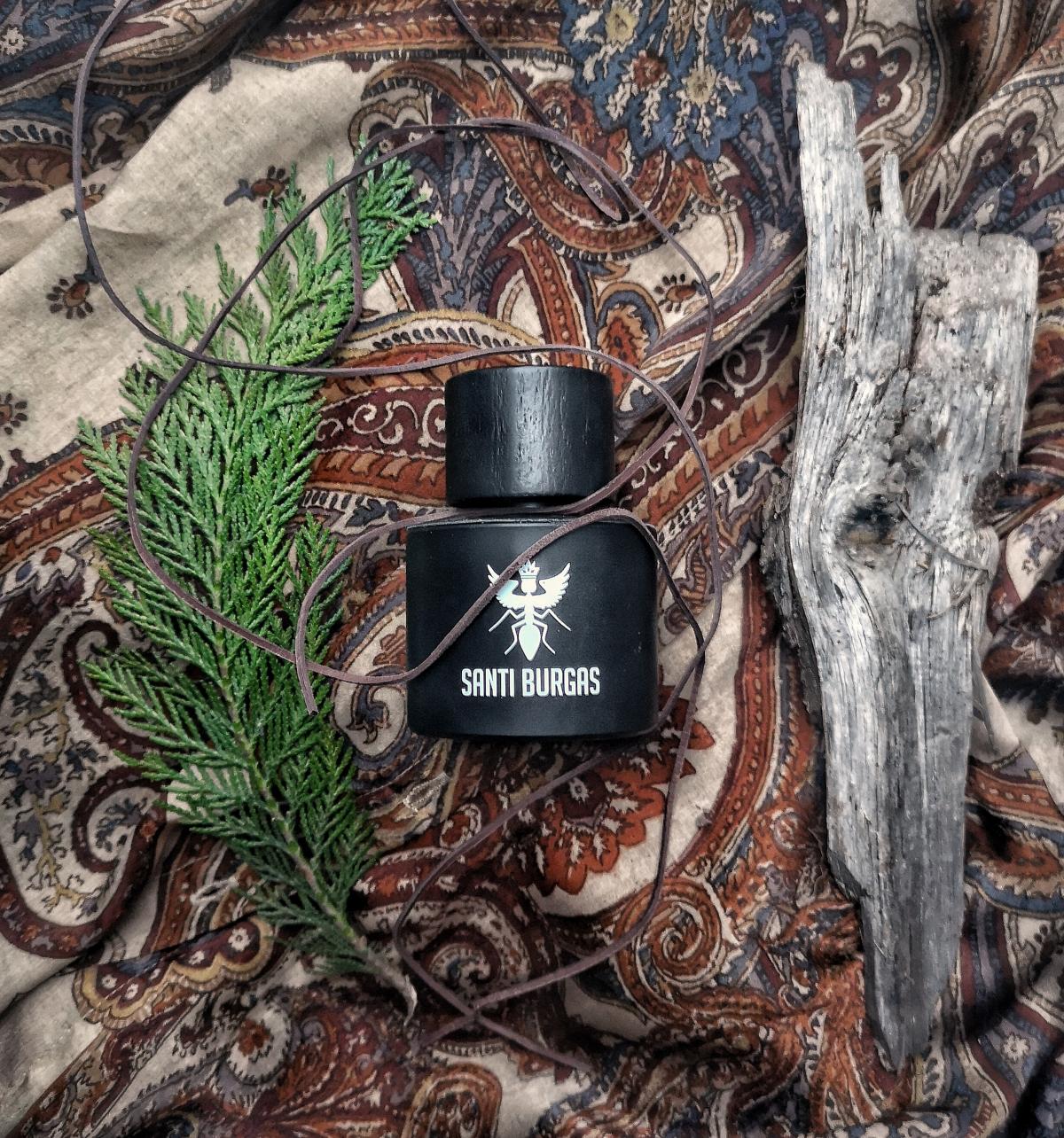 تصویر عطر پالین‌دروم آی سانتی بورگاس