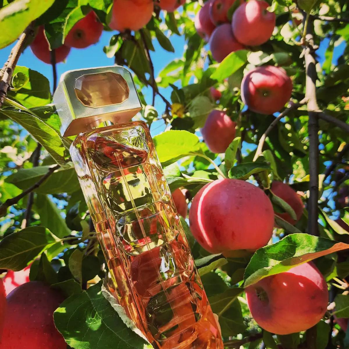 تصویر عطر باس اورنج هوگو باس