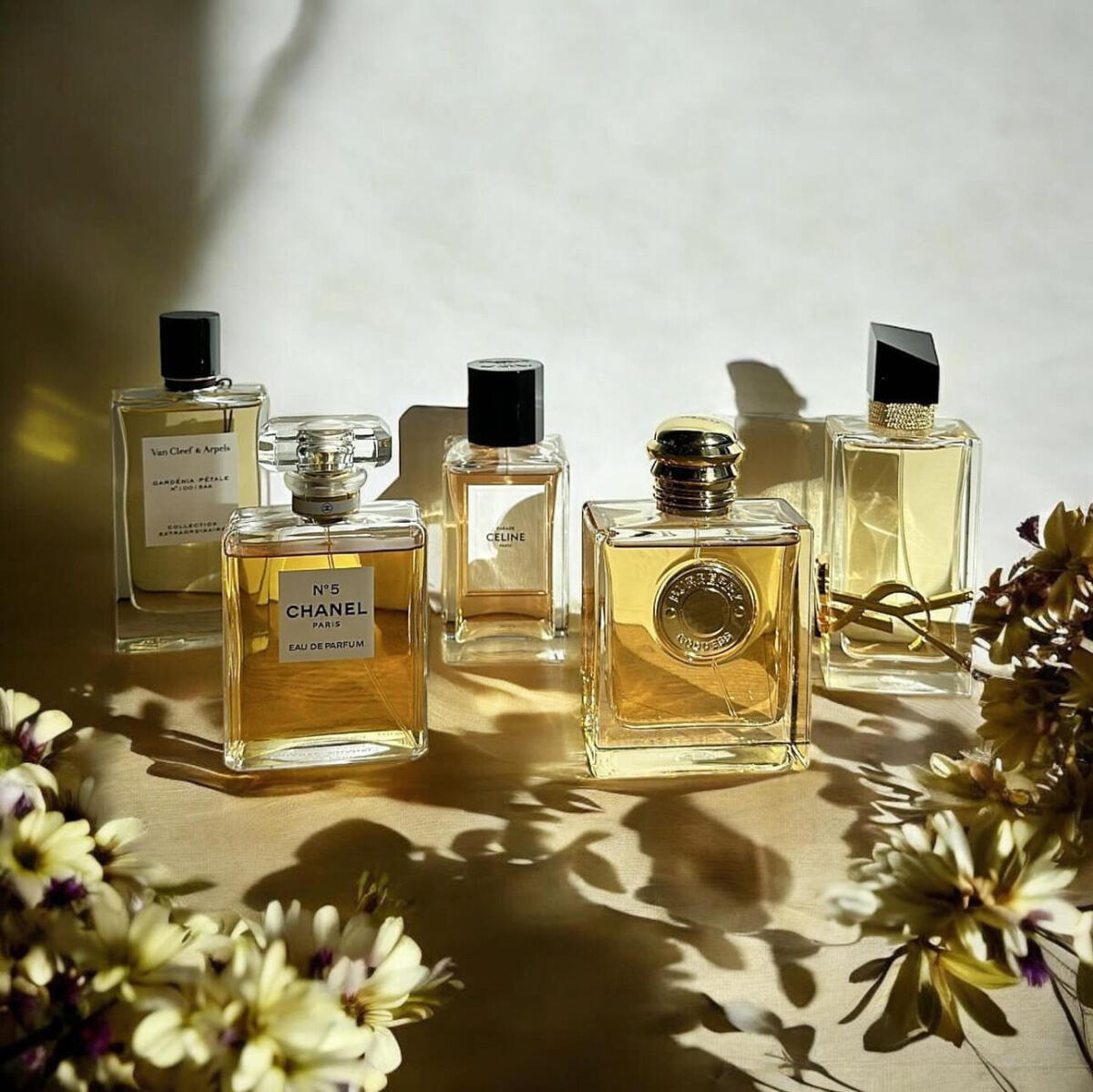 تصویر عطر گادس بربری