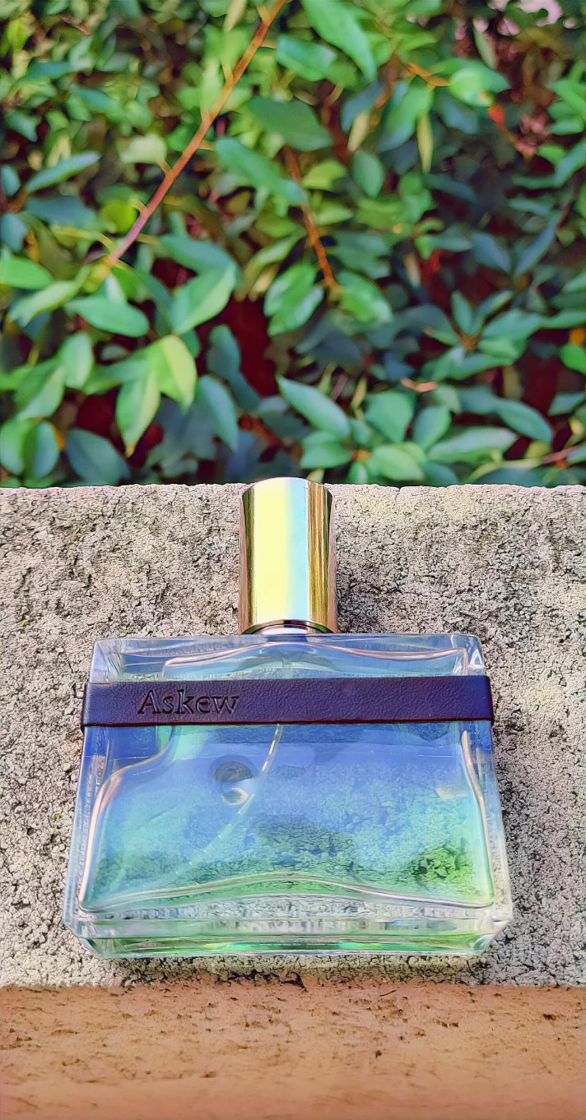 تصویر عطر اسکیو هومیکی اند گریف