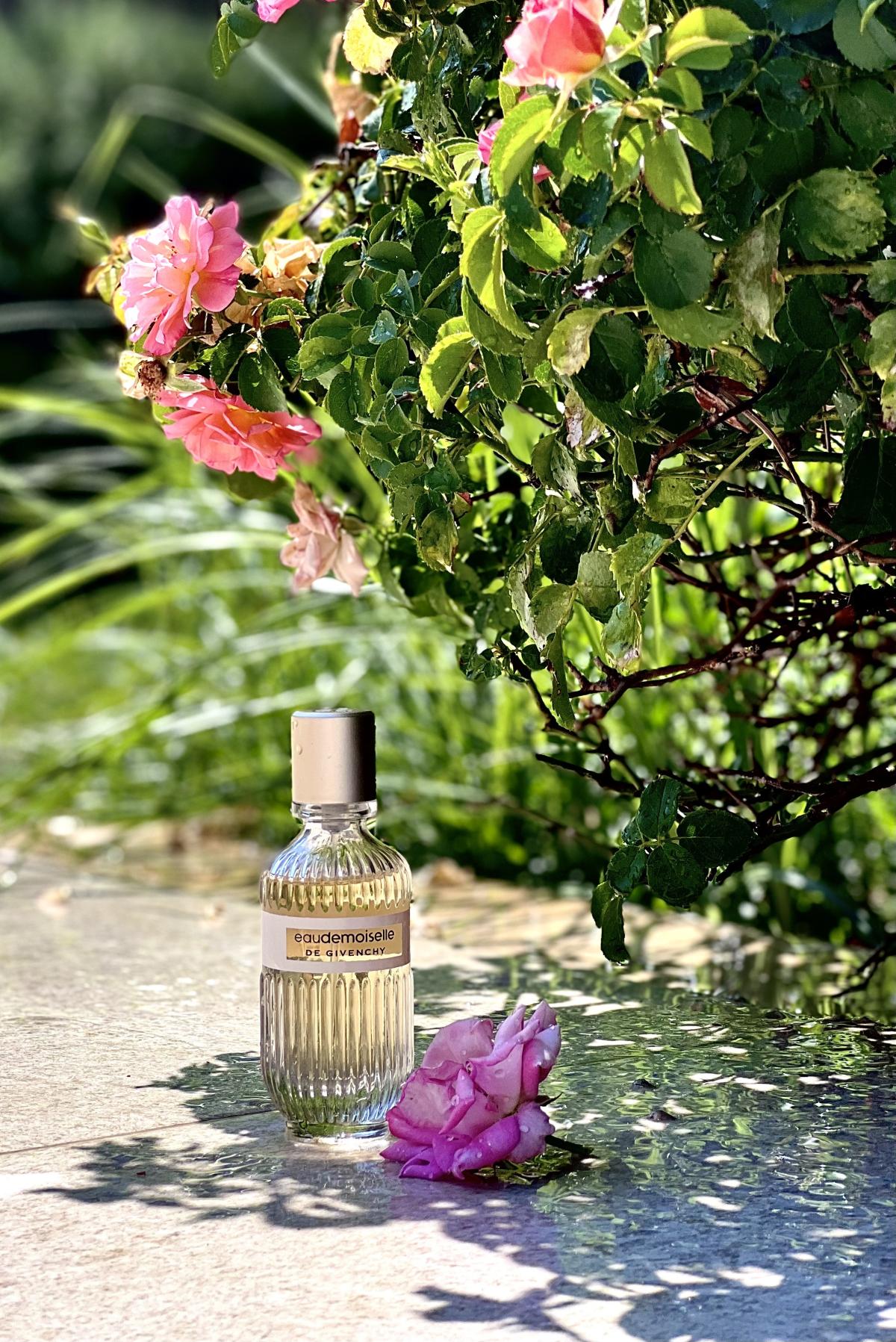 تصویر عطر اودموزل دی ژیوانشی