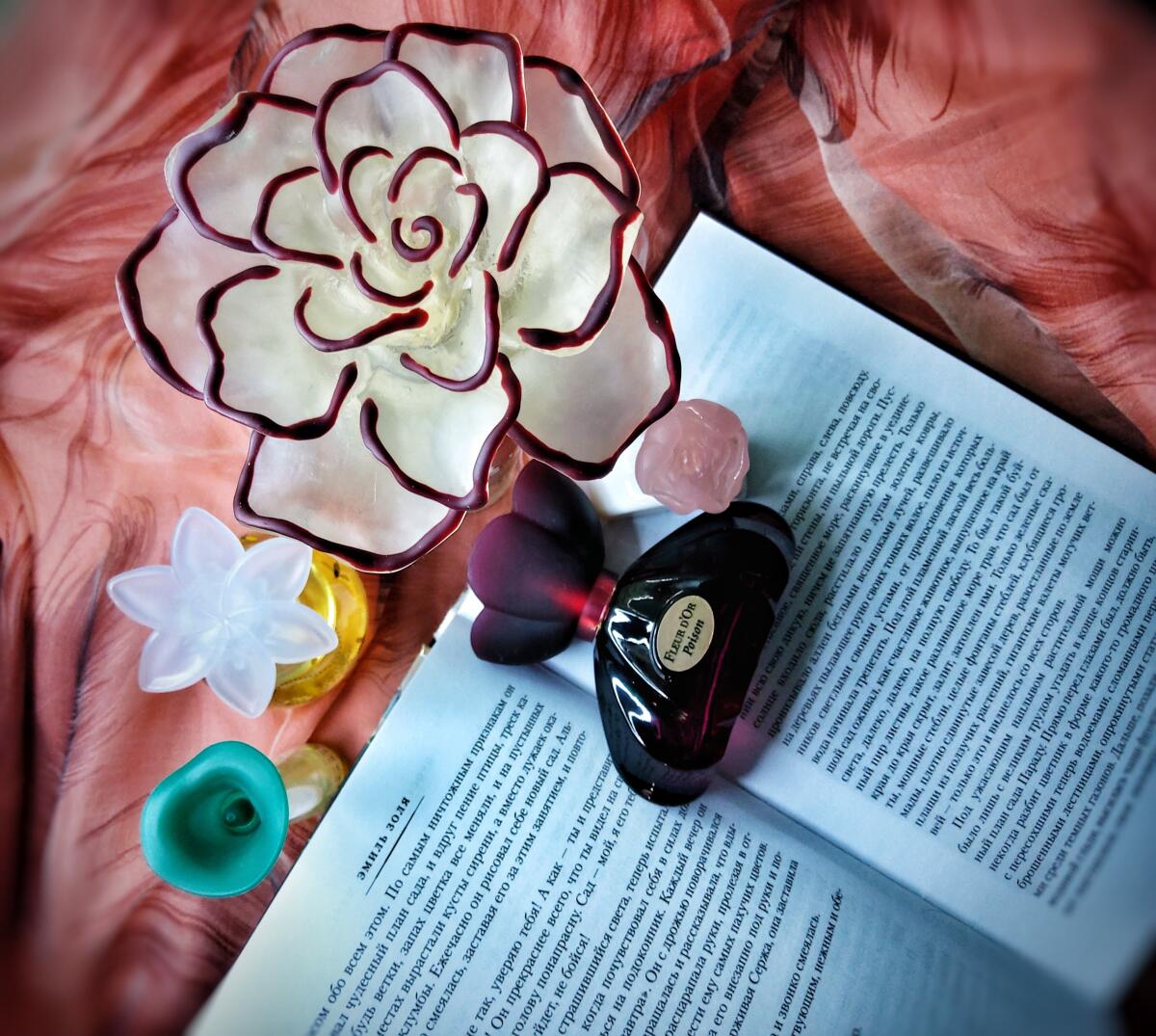 تصویر عطر پتی آتیتود بی ایون