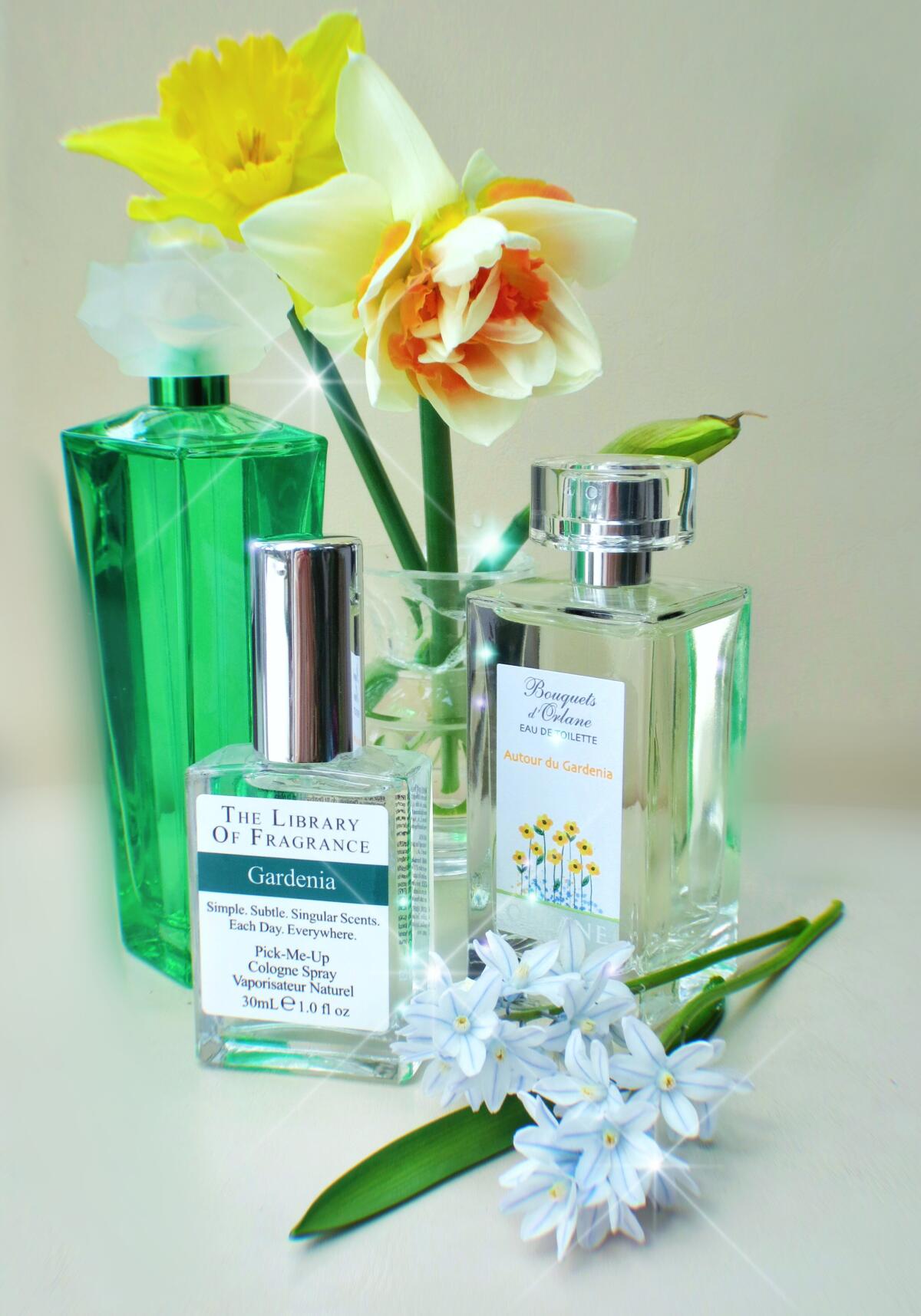 تصویر عطر گاردنیا دیمتر فرگرنس