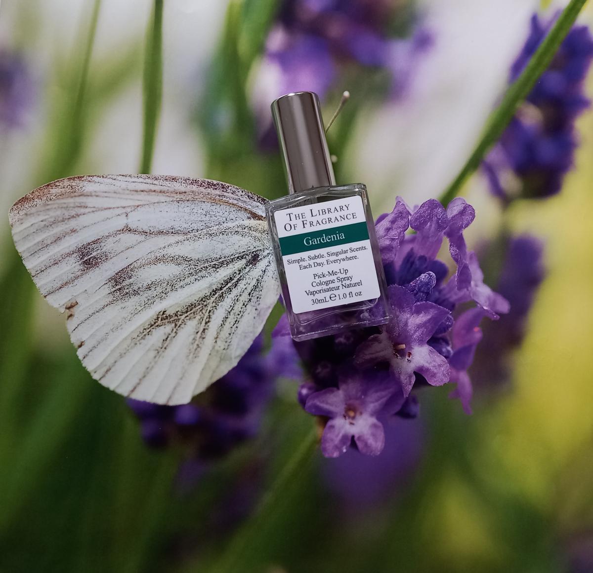 تصویر عطر گاردنیا دیمتر فرگرنس