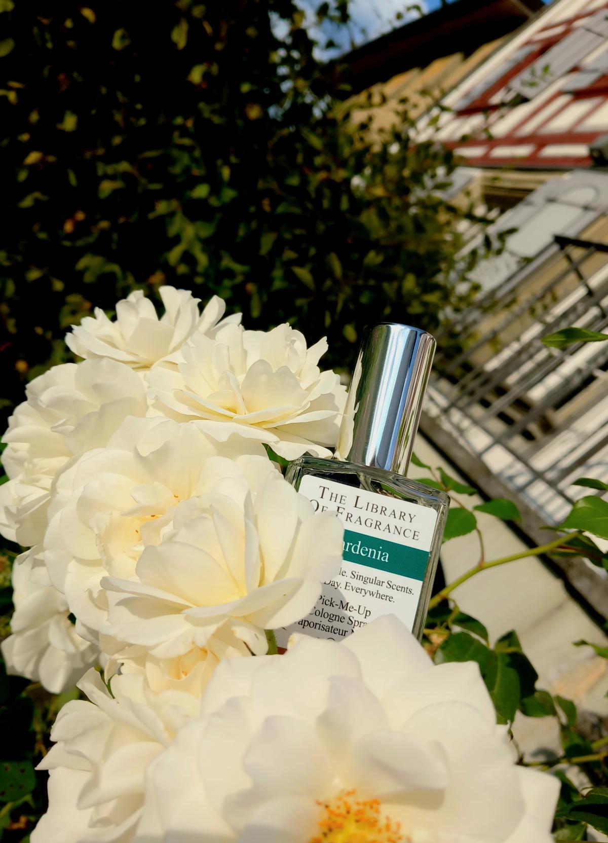 تصویر عطر گاردنیا دیمتر فرگرنس