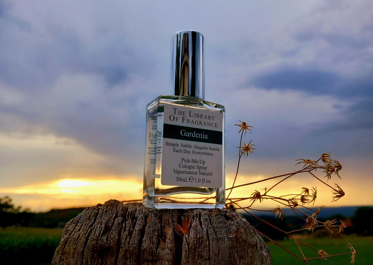 تصویر عطر گاردنیا دیمتر فرگرنس