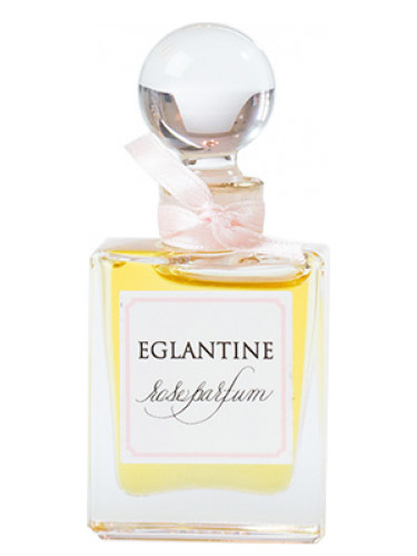 تصویر عطر ایگلانتین رز پرفیوم اِریکا الیزابت دیزاینز