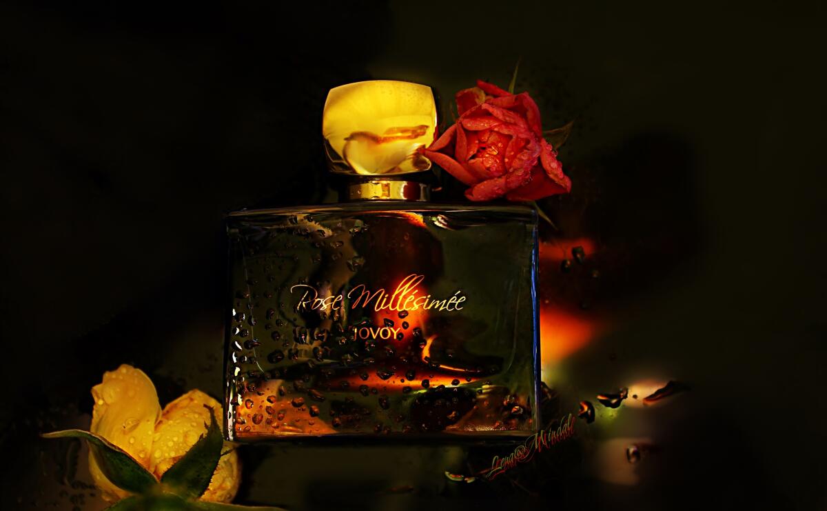 تصویر عطر رز میلزیمه ژووی پاریس