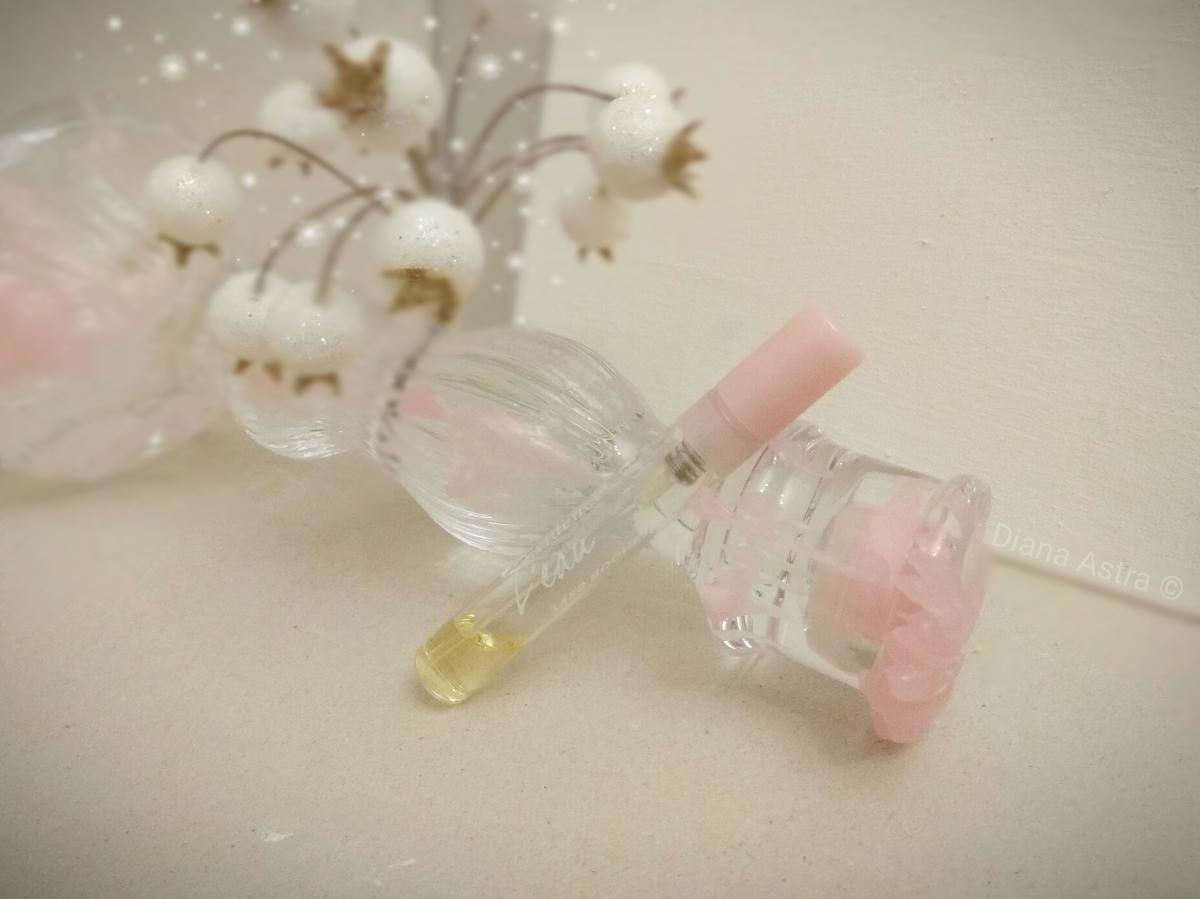 تصویر عطر کام اَن اِویدانس لو ایو روشه