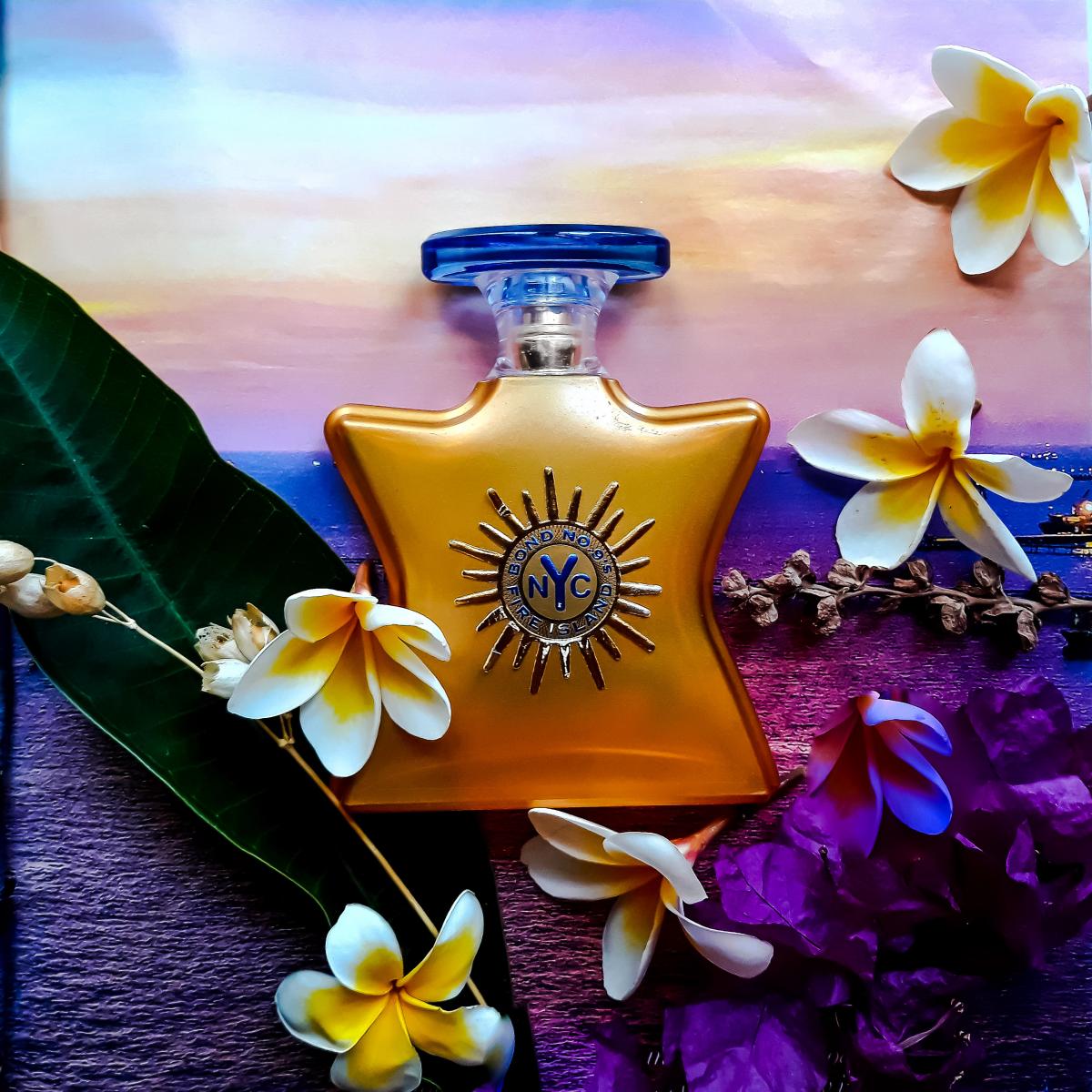 تصویر عطر فایر آیلند باند شمارهٔ ۹