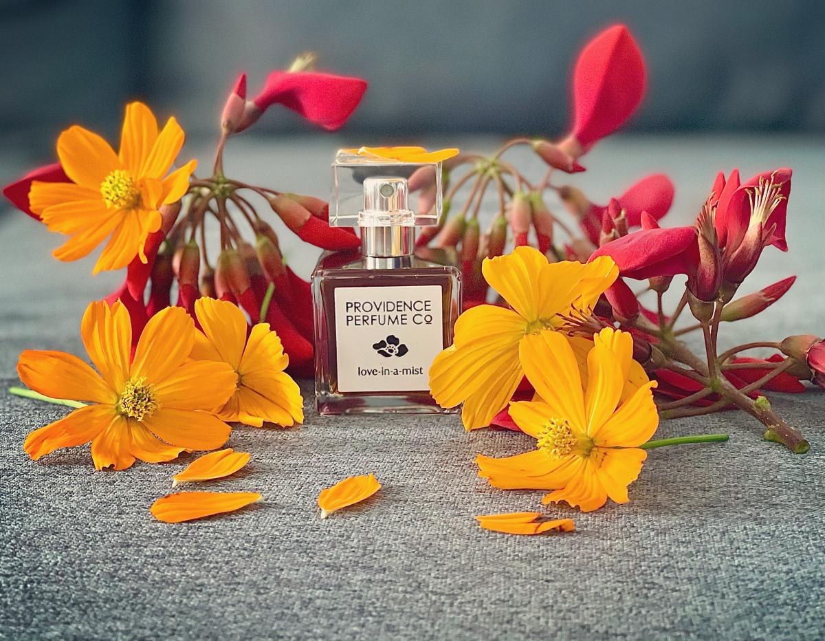 تصویر عطر لاو این ا میست پراوِدِنس پرفیوم کو.