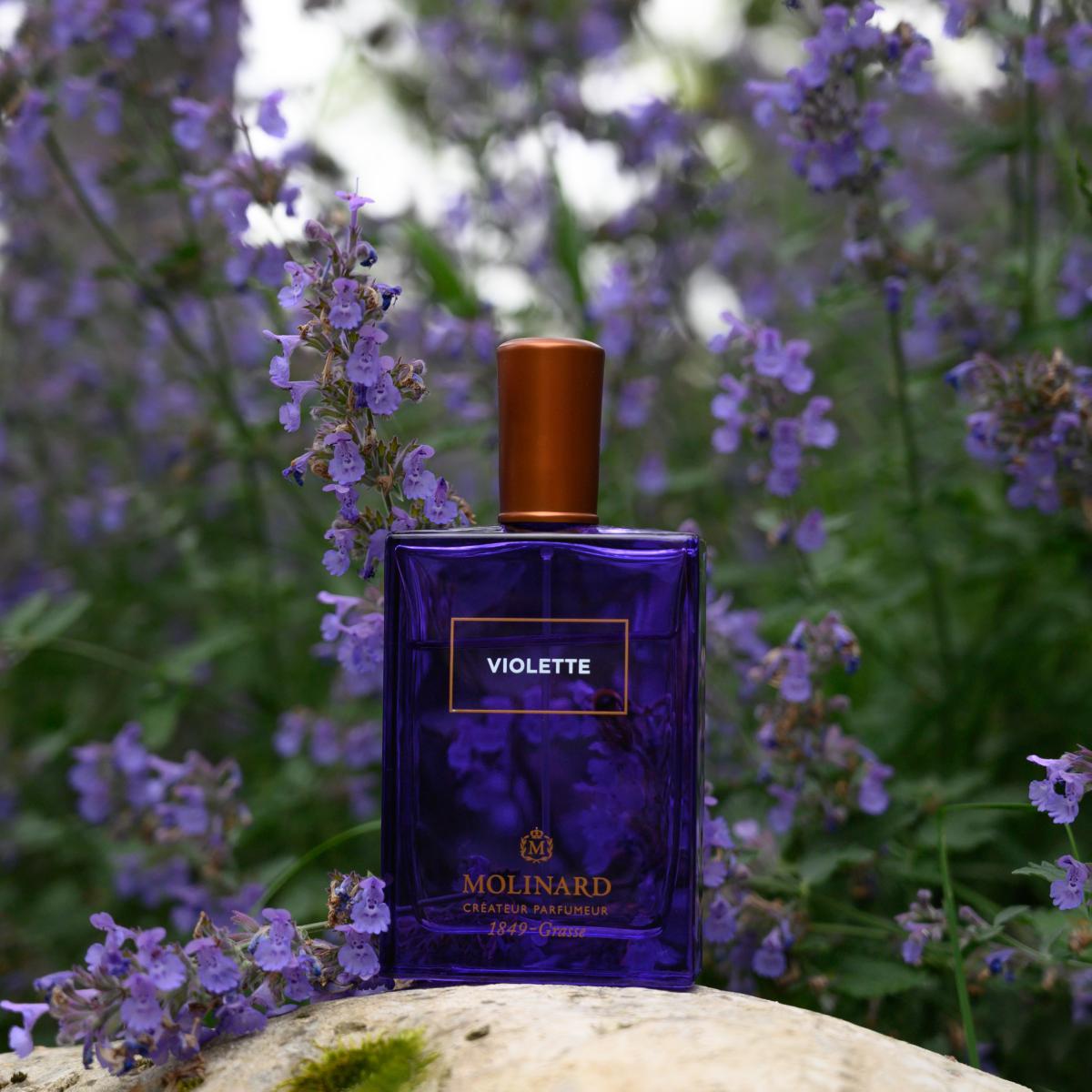 تصویر عطر ویولت او دو پرفیوم مولینار