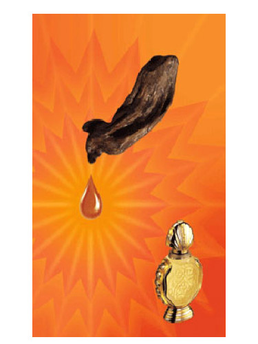 تصویر عطر شذا العود رصاصی