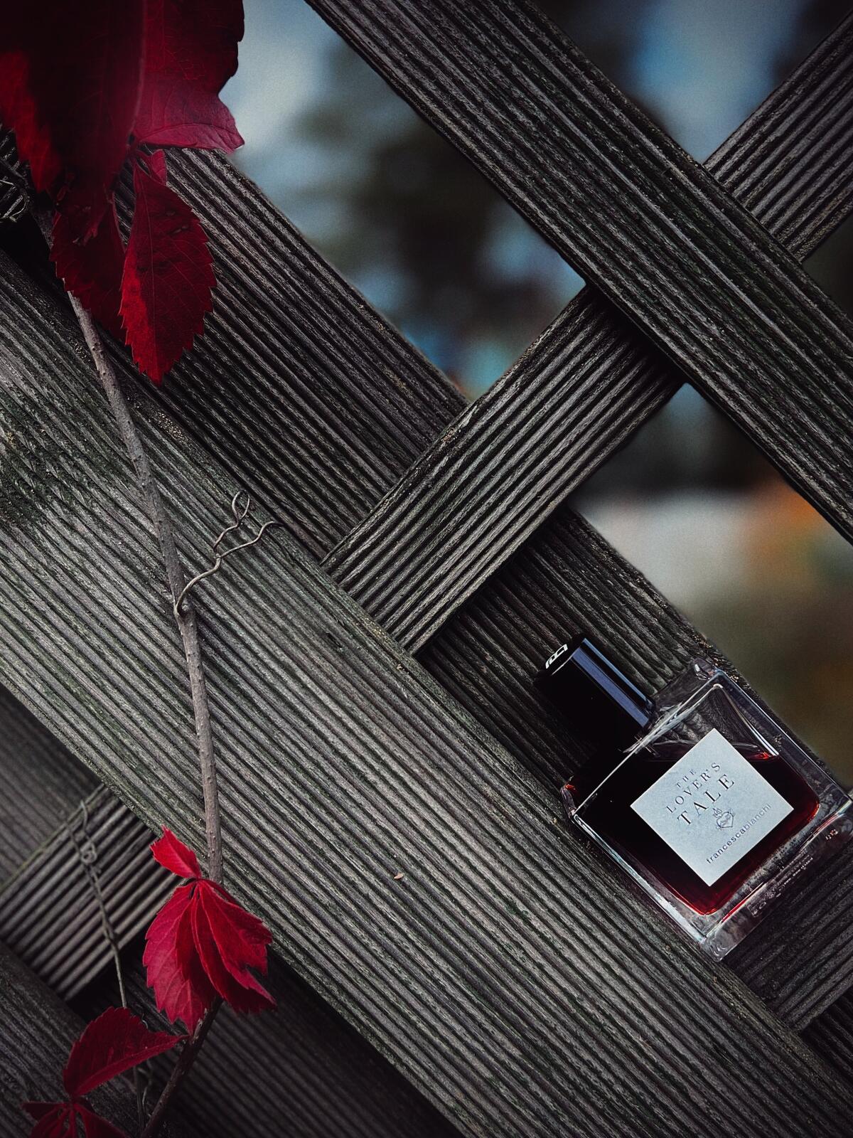 تصویر عطر د لاورز تیل فرانچسکا بیانکی