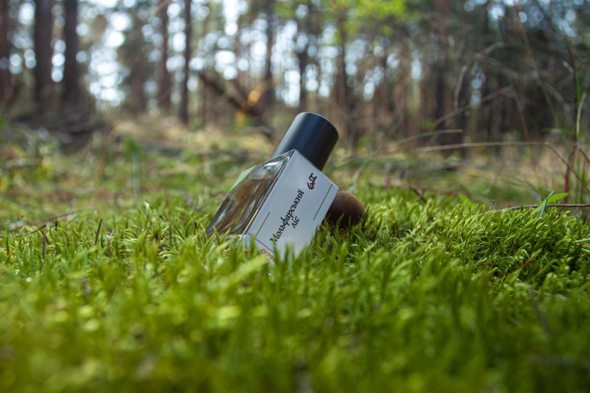 تصویر عطر مولفار فارست چار‌زیلیا