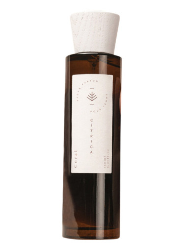 تصویر عطر کورال دلیسی