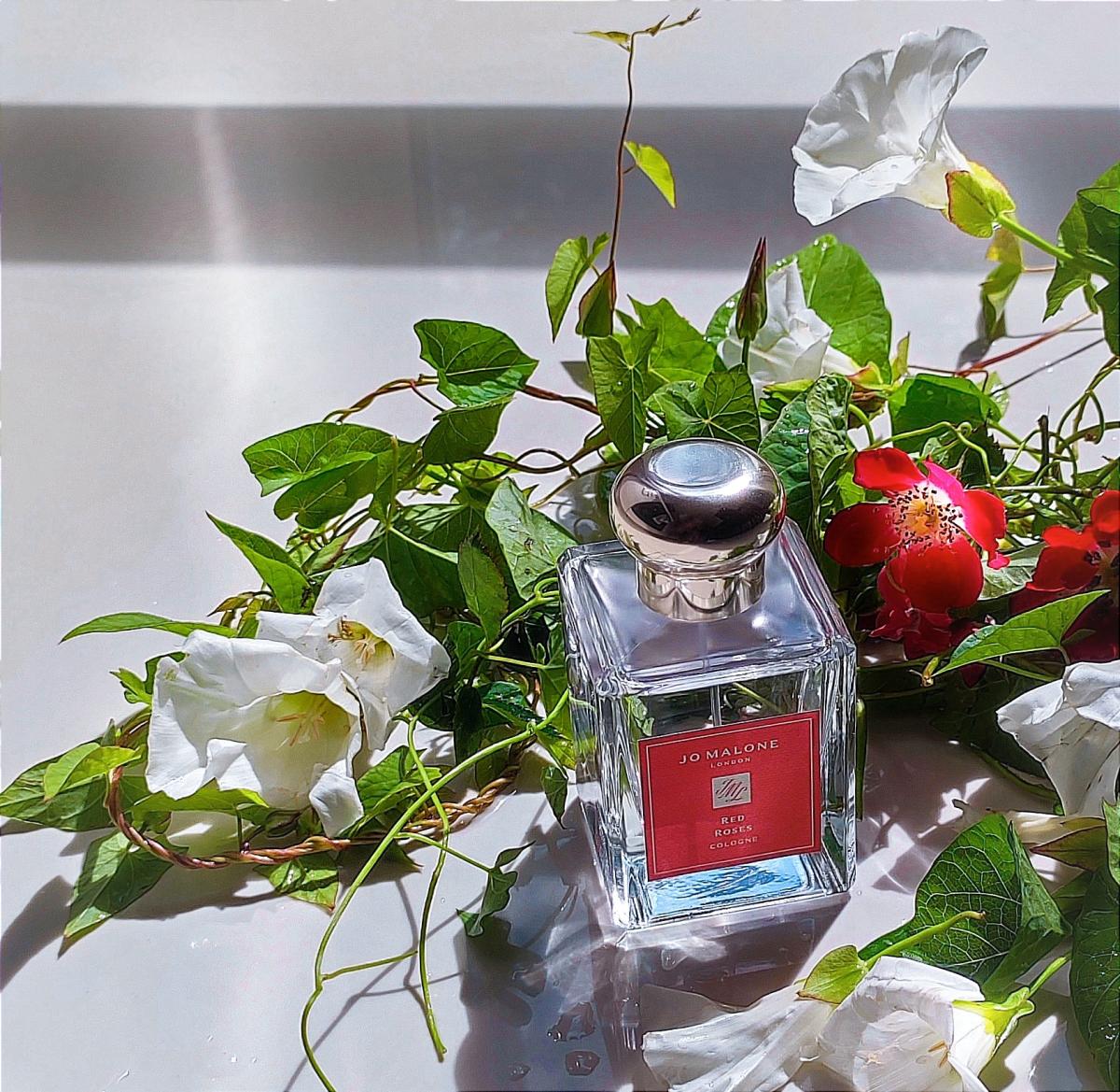 تصویر عطر رد روزز کلون جو مالون لندن