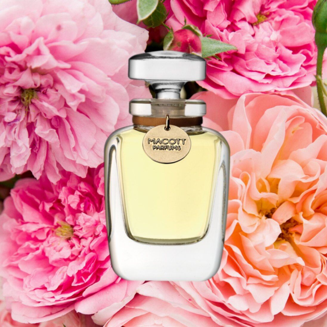 تصویر عطر مادرن گاردن روزز ماکو پرفیومز