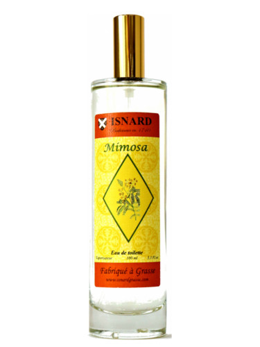 تصویر عطر میموسا ایزنار