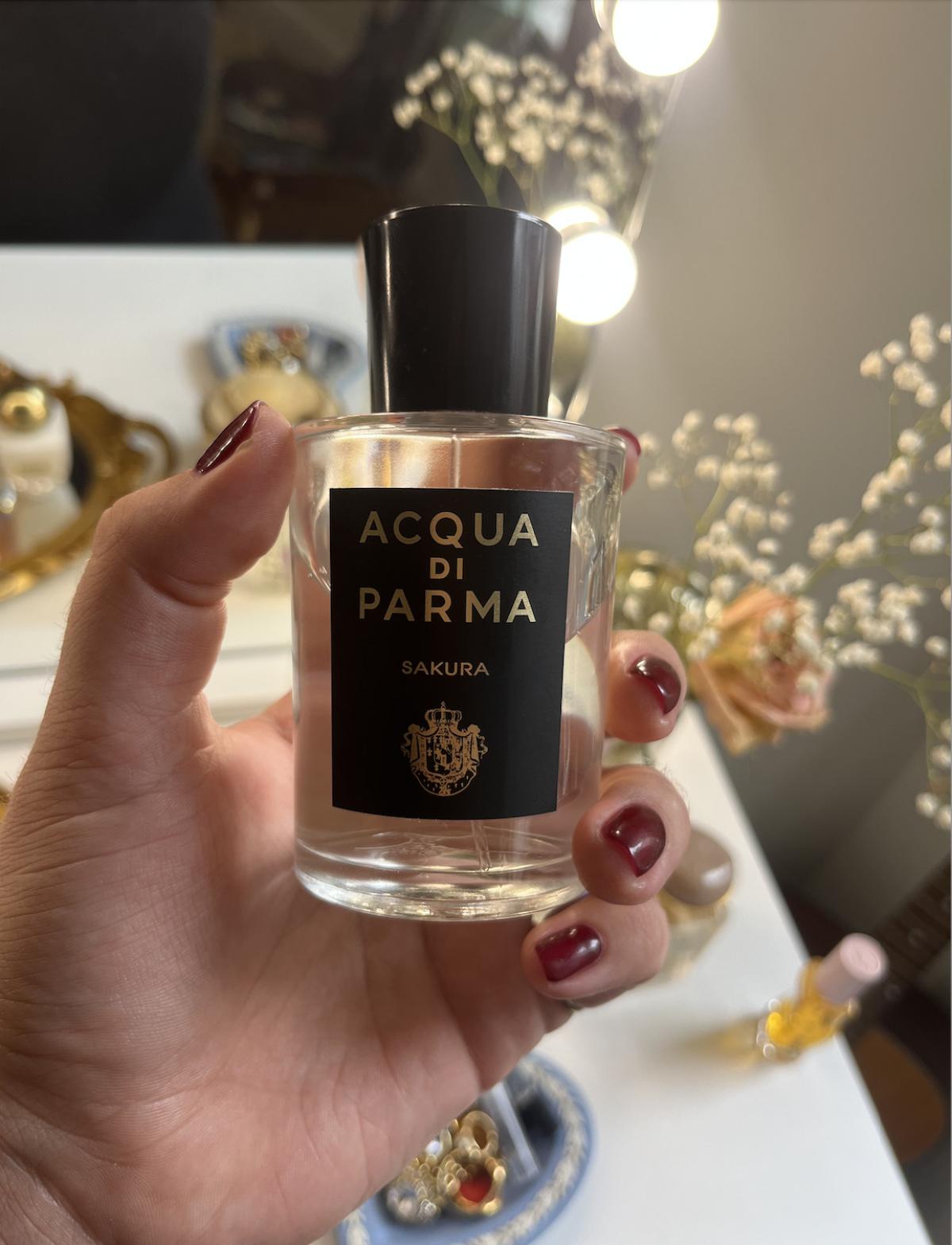 تصویر عطر ساکورا او د پرفیوم آکوا دی پارما