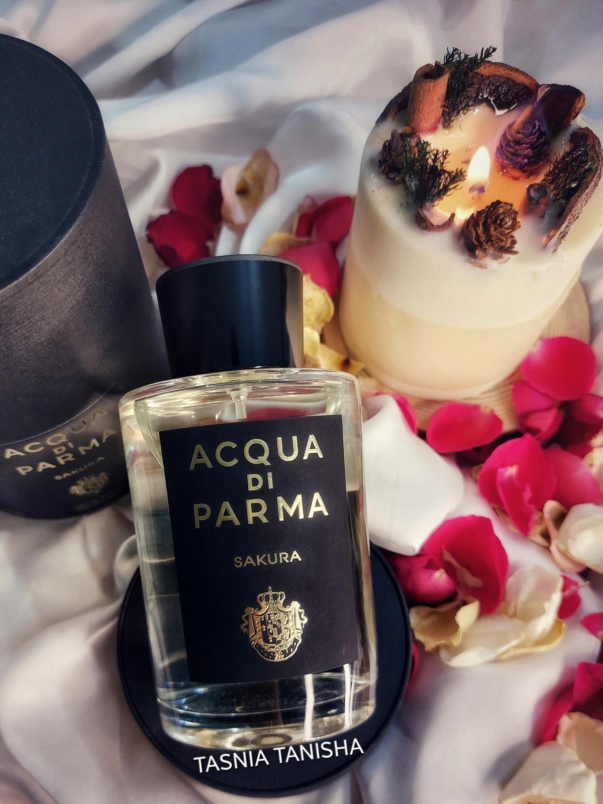 تصویر عطر ساکورا او د پرفیوم آکوا دی پارما