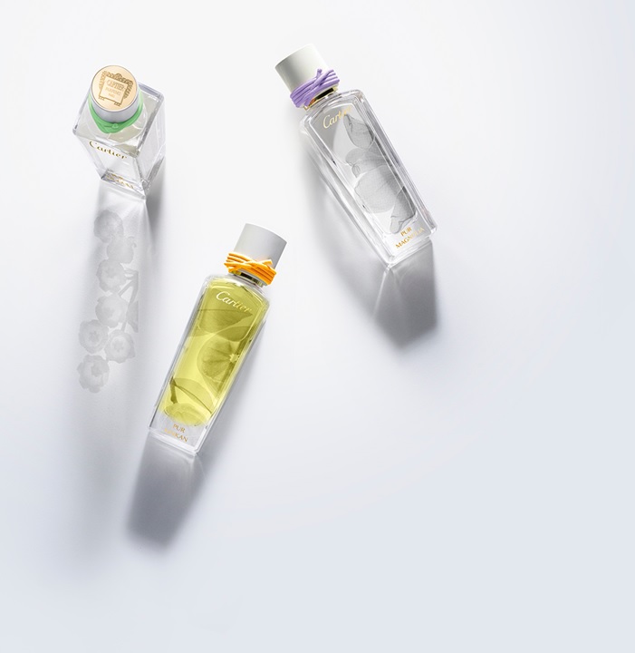 تصویر عطر پور مگنولیا کارتیه
