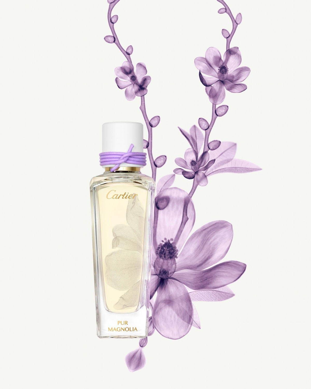 تصویر عطر پور مگنولیا کارتیه